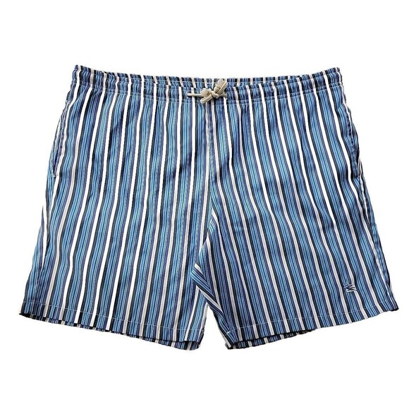 Etro Men's XL Blue Stripe Swim Trunks Drawstring Waist Mesh Lined Surf 6.75"
